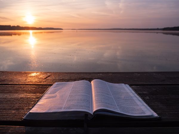 Can the Bible give us business advice?